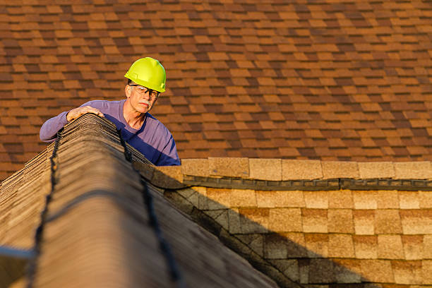 Roof Repair Estimates in Morris, IL