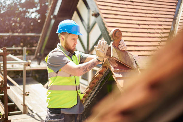 Best Roof Leak Repair  in Morris, IL