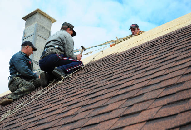 Best Storm Damage Roof Repair  in Morris, IL